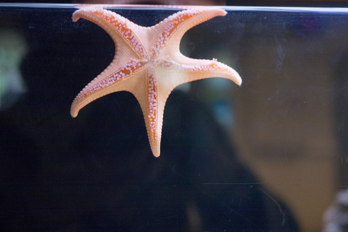 Newport Aquarium - Gallery Image 3